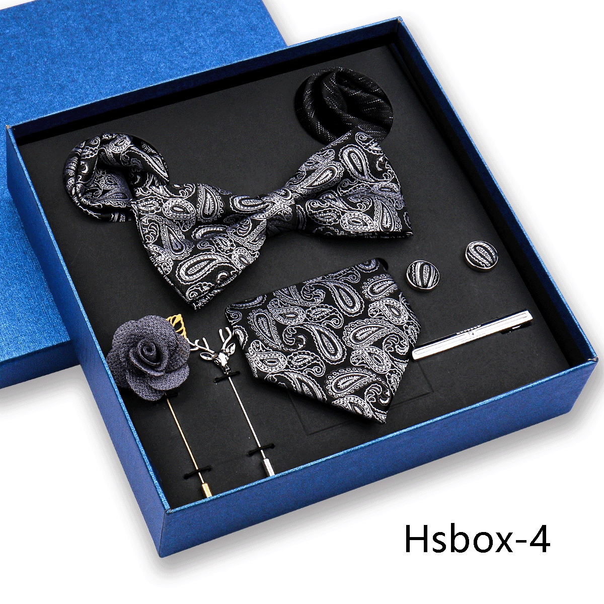 Ensemble Cravates (Hsbox-4)